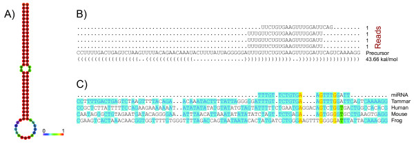 Figure 9