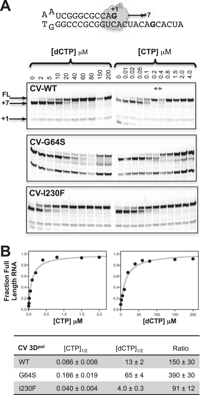 FIG 7