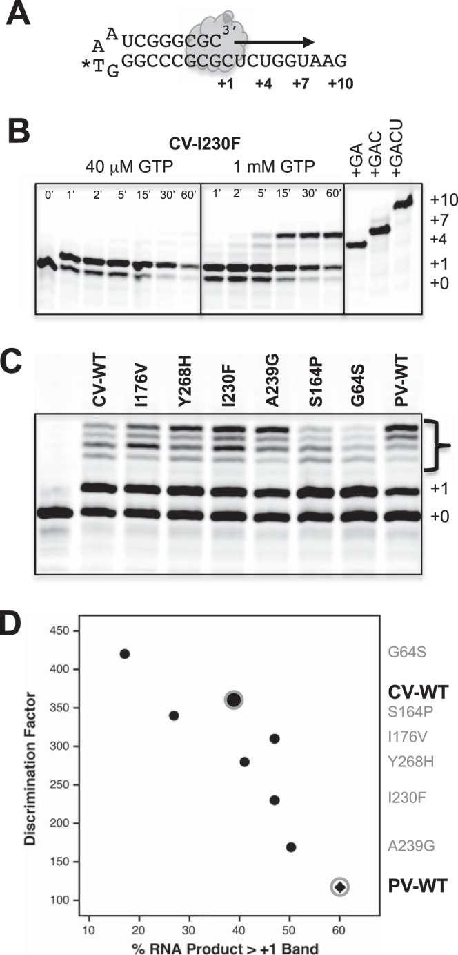 FIG 6