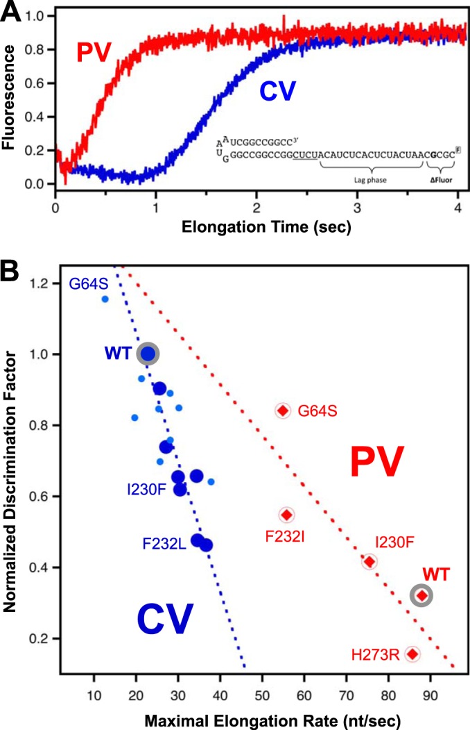 FIG 8