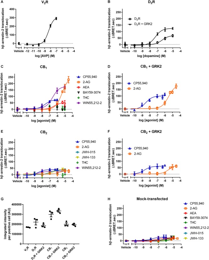 FIGURE 2