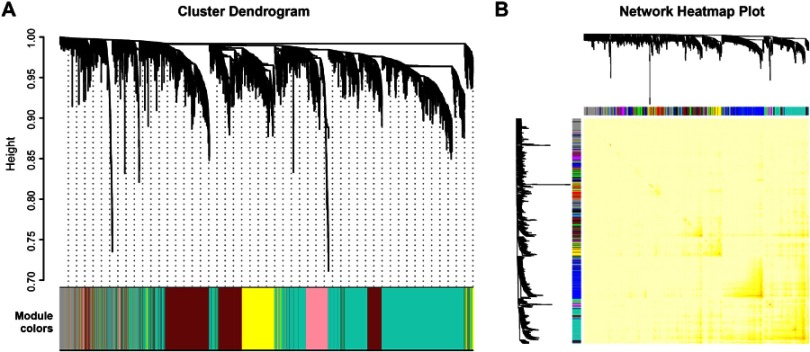 graphic file with name DMSO_A_207021_O_SF0001g.jpg