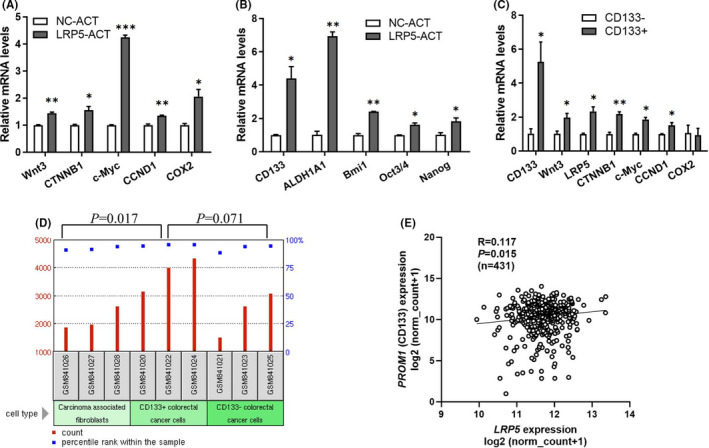 LRP5 promotes cancer stem cell traits and chemoresistance in colorectal ...