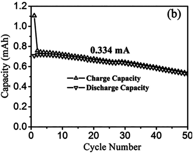 Fig. 10