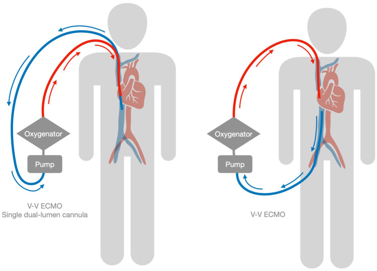 Figure 4