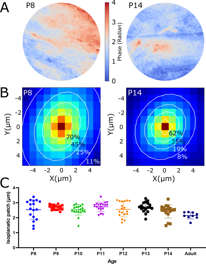 FIGURE 4.