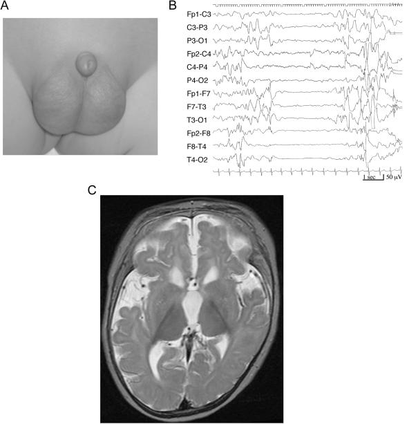 Figure  1. 