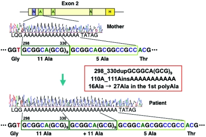 Figure  3. 