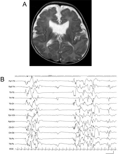 Figure  2. 