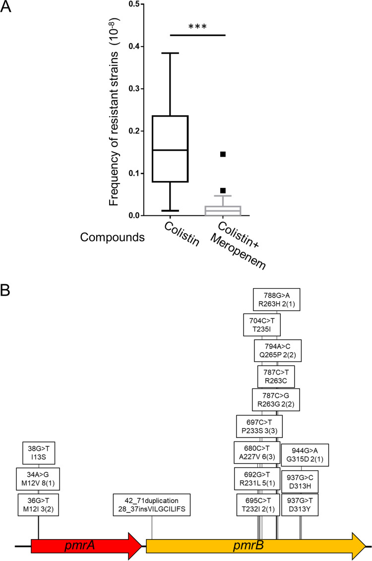 FIG 2