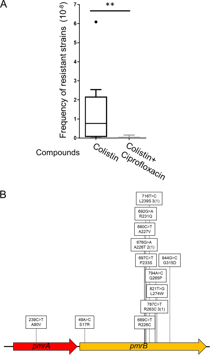 FIG 3