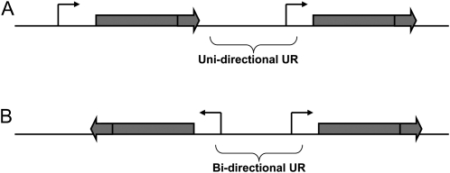 Figure 1.—