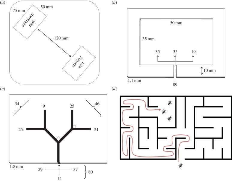 Figure 1.