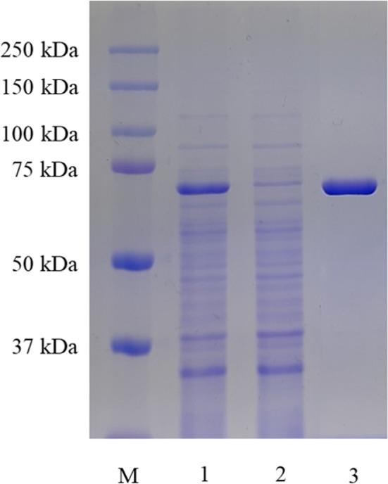 Fig. 1