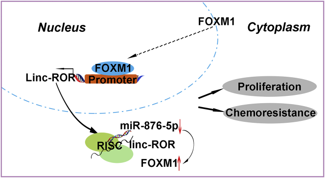 Figure 7