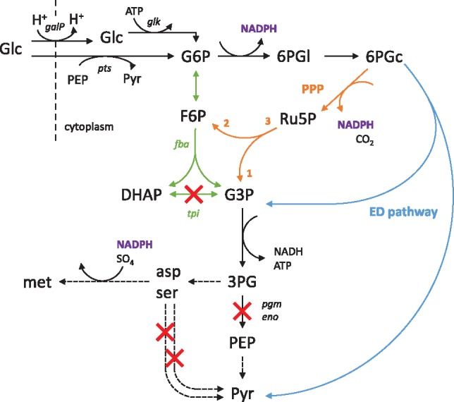 Fig. 4.