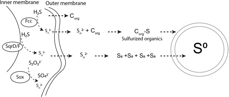 Figure 7