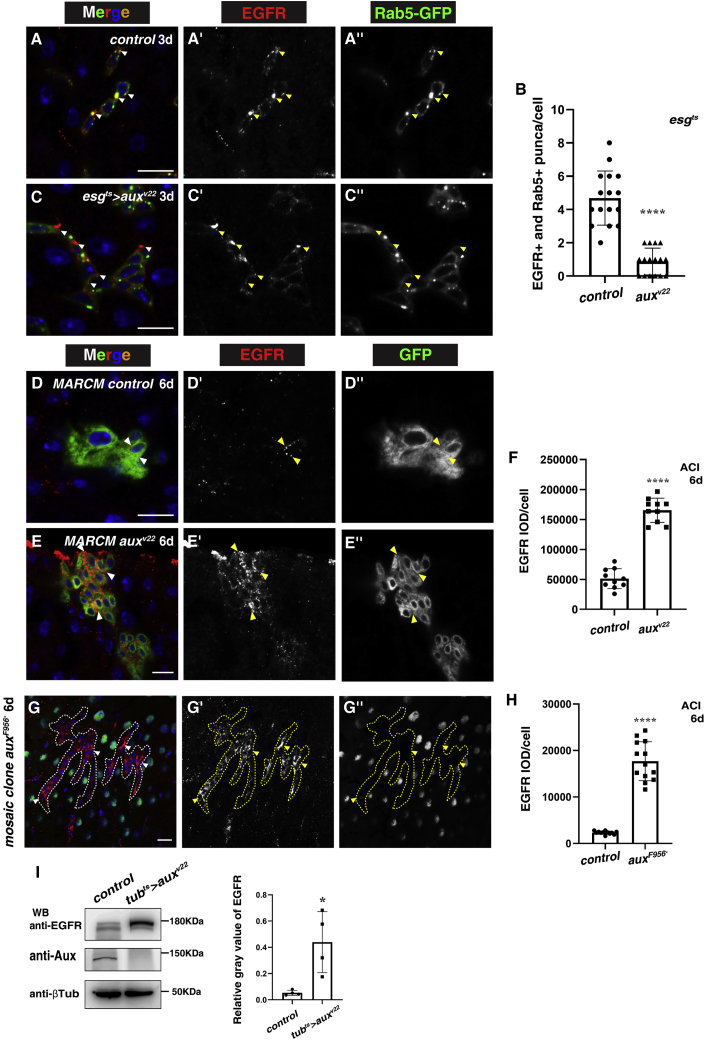 Figure 6