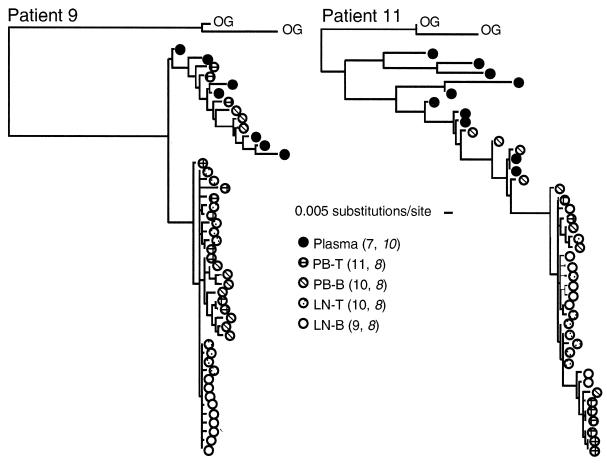 FIG. 4.