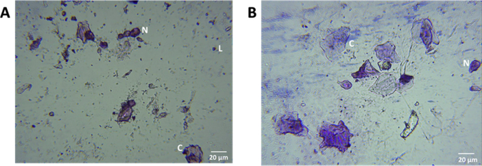 Fig. 2