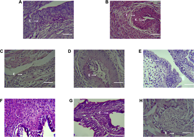 Fig. 7