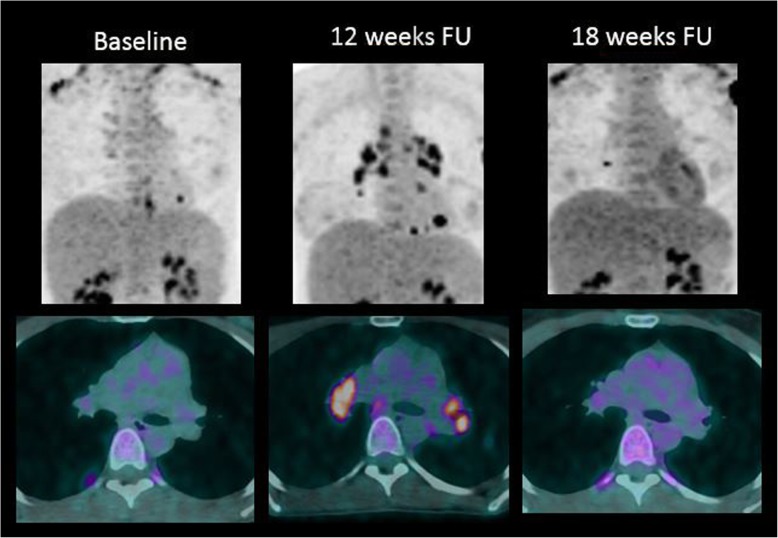 Fig. 7