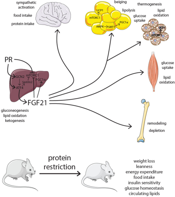 FIGURE 3