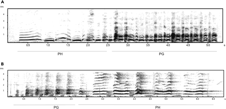 Figure 1