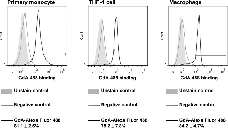 FIGURE 1.