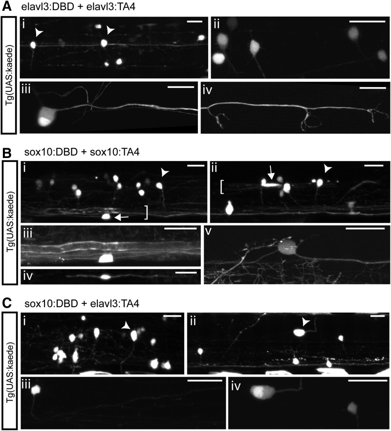 FIG. 4.