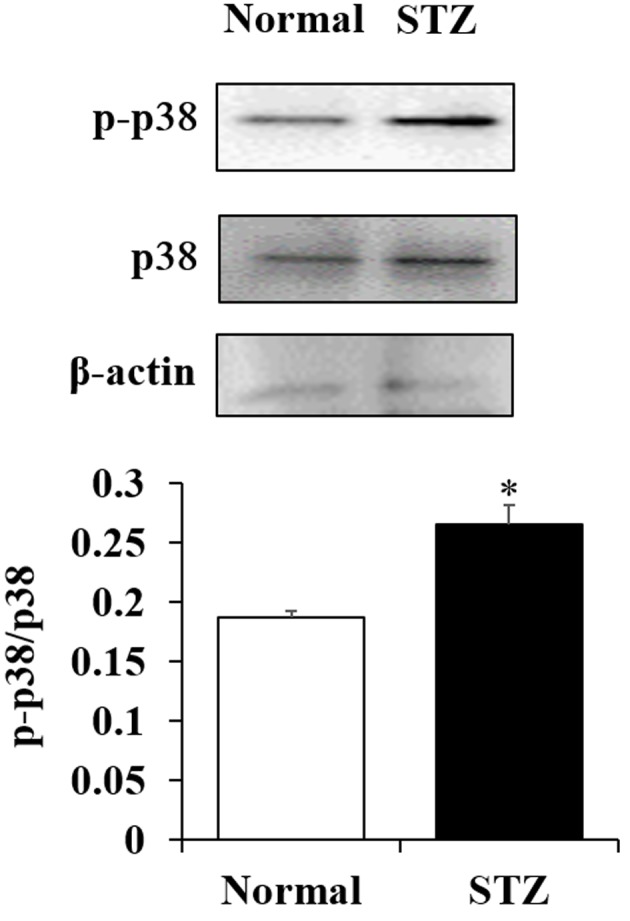 Figure 4.