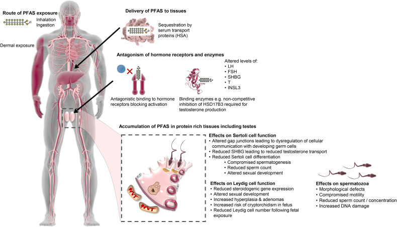 Figure 3