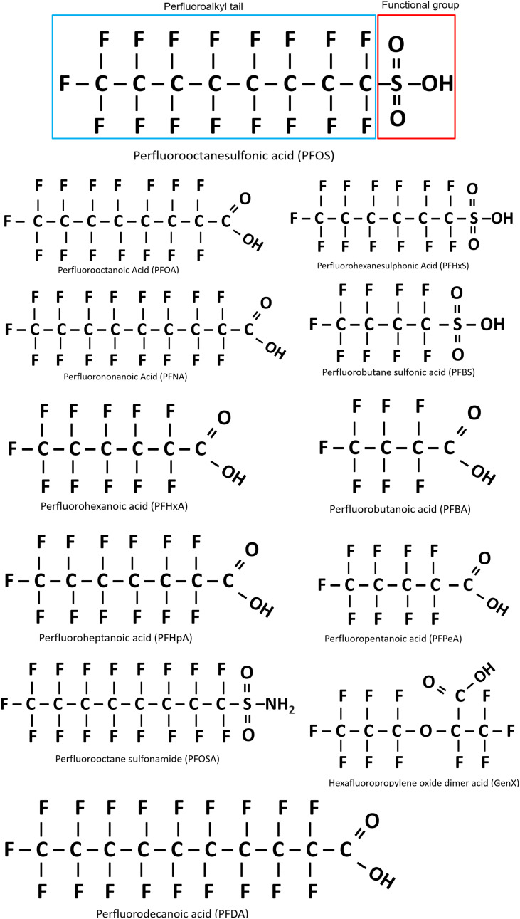 Figure 1