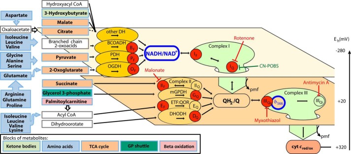 FIGURE 1.