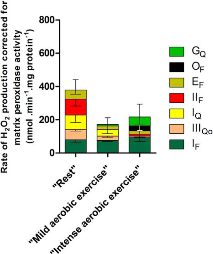 FIGURE 12.