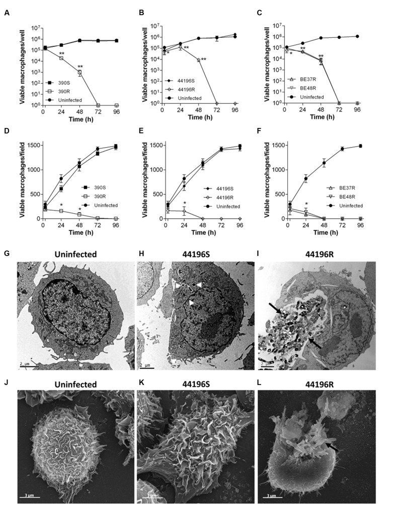 FIGURE 4