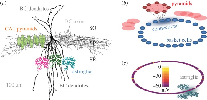 Figure 1.