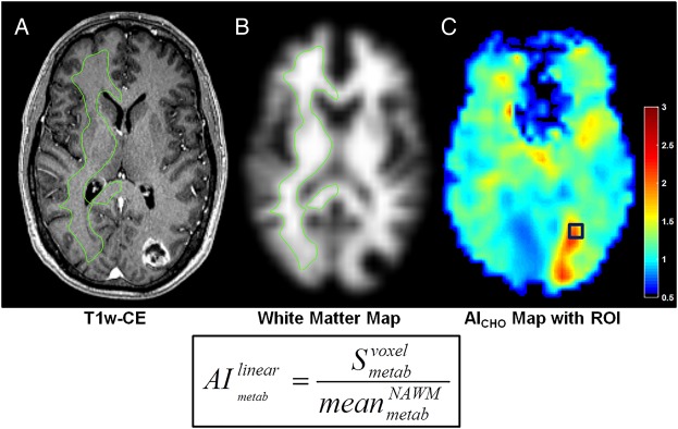 Fig. 2.