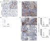 Extended Data Figure 3