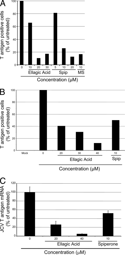 FIG. 7.