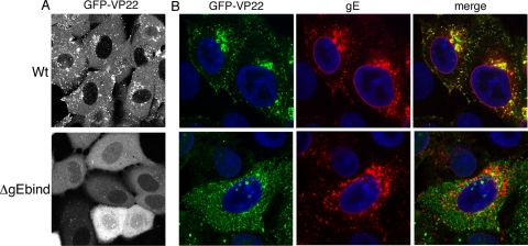 FIG. 9.