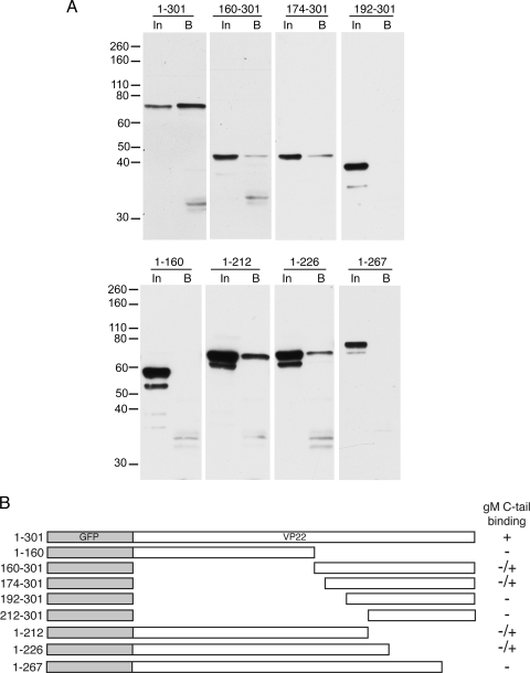 FIG. 5.