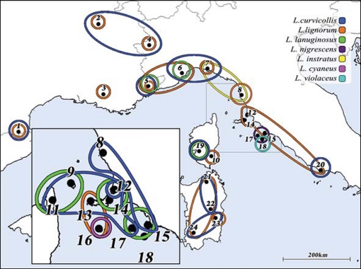 Figure 2.