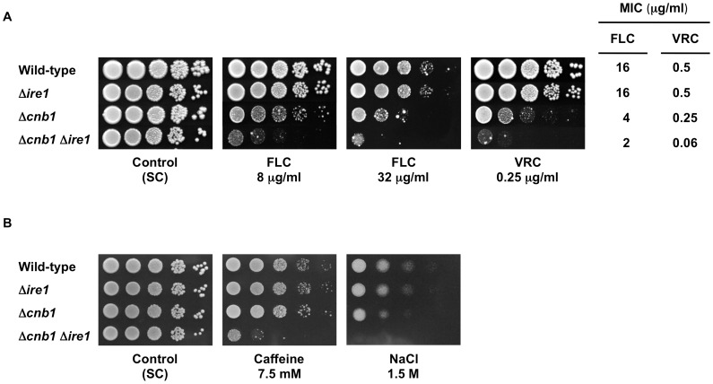 Figure 11