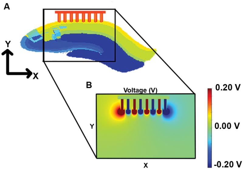 Fig. 3