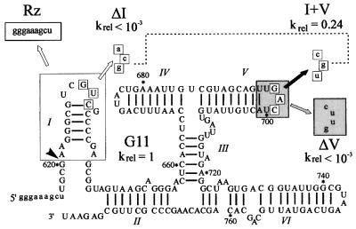 graphic file with name cde538f3.jpg