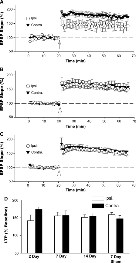 FIG. 4.