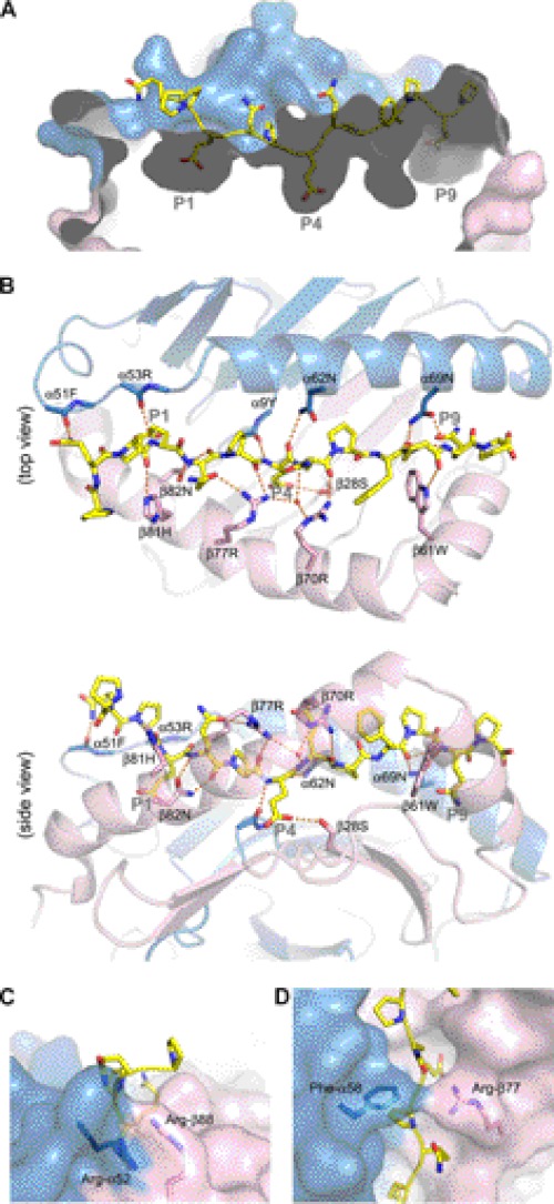 FIGURE 5.