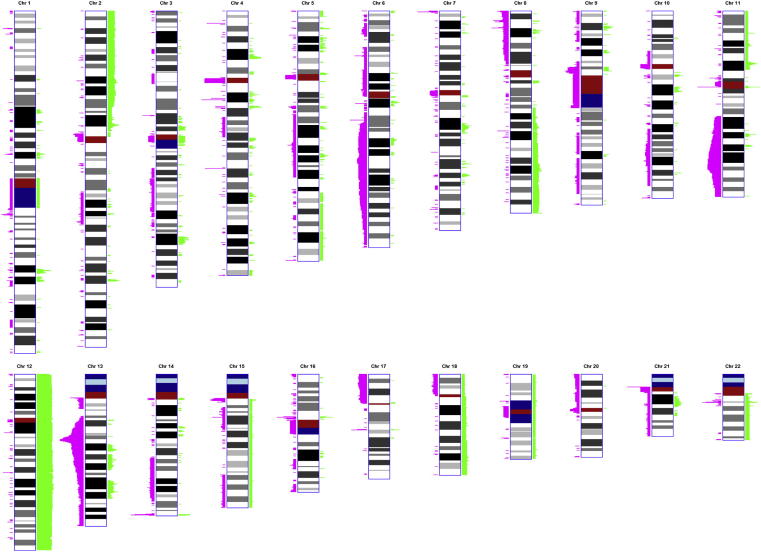 Figure 1