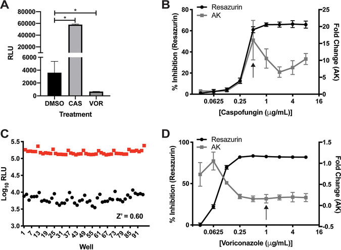 FIG 2